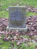 image of grave number 154244